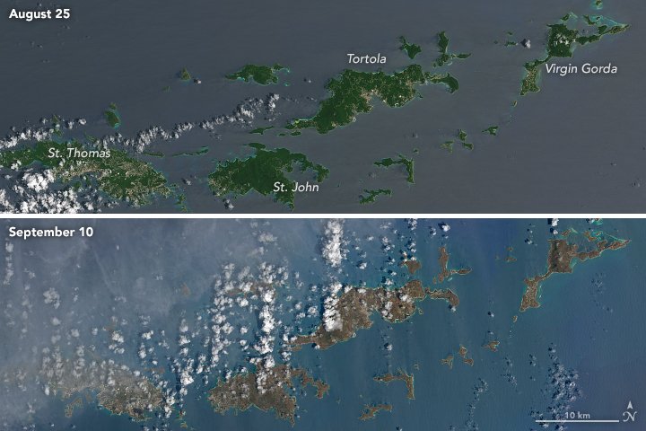Irma