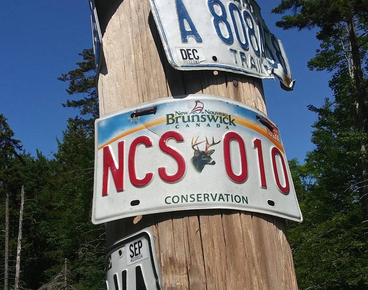 No More Front License Plates Starting Today! Blog K100