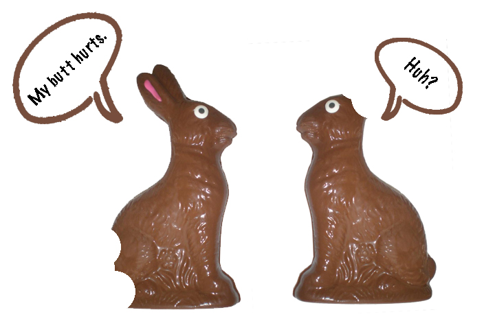 rabbit eating chocolate